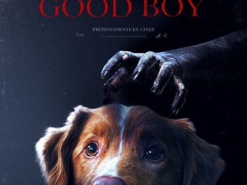 anteprima puntata del 3 marzo 2026